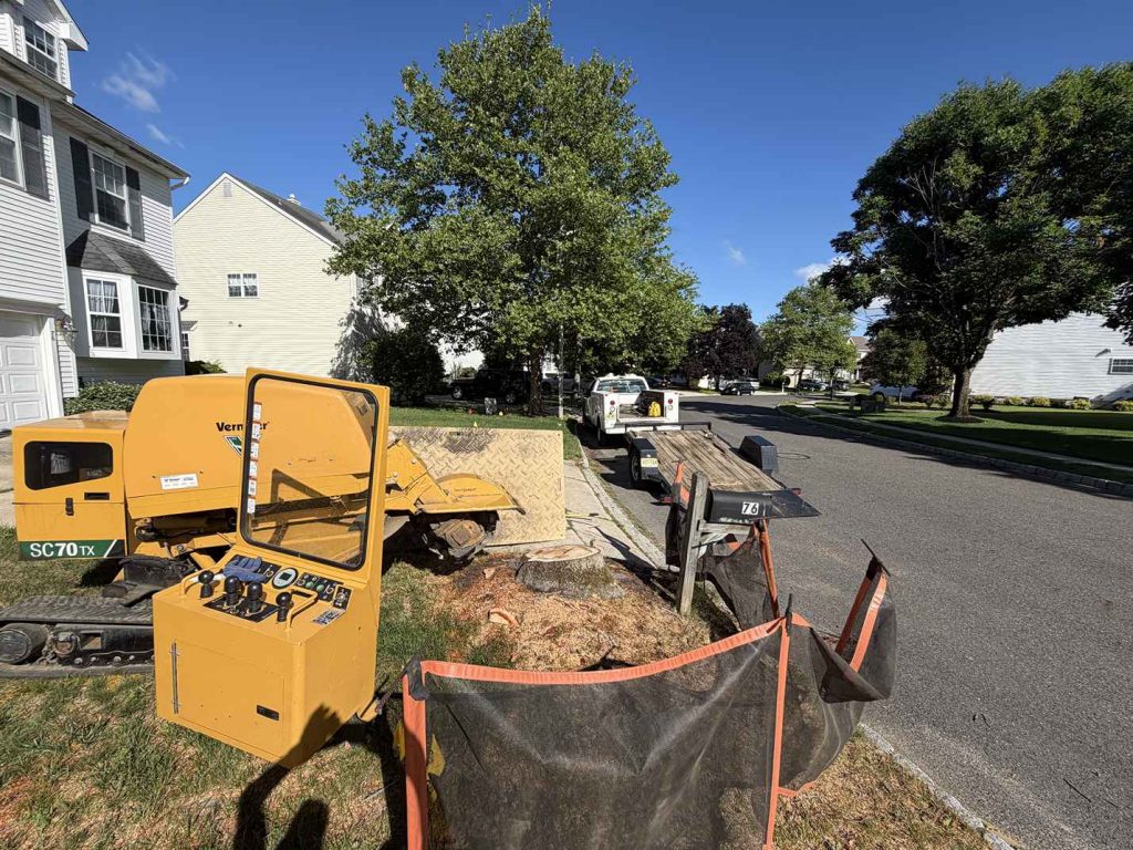 Mount Laurel Stump Equipment