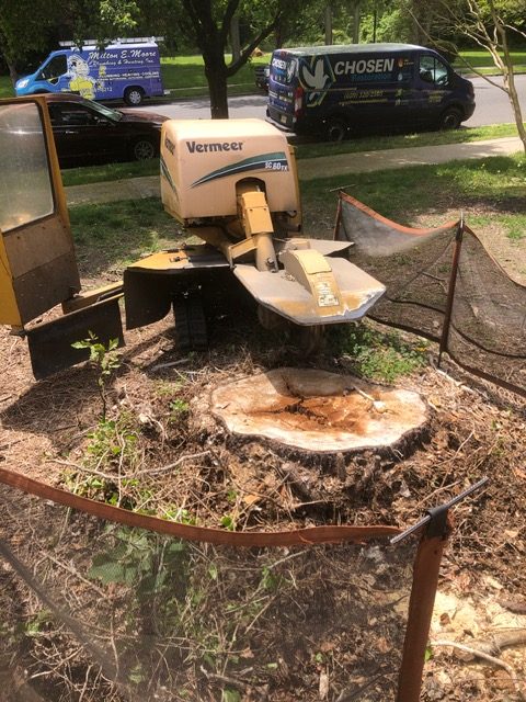 moorestown nj stump