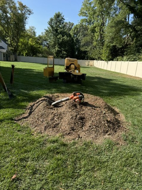 moorestown stump lawn