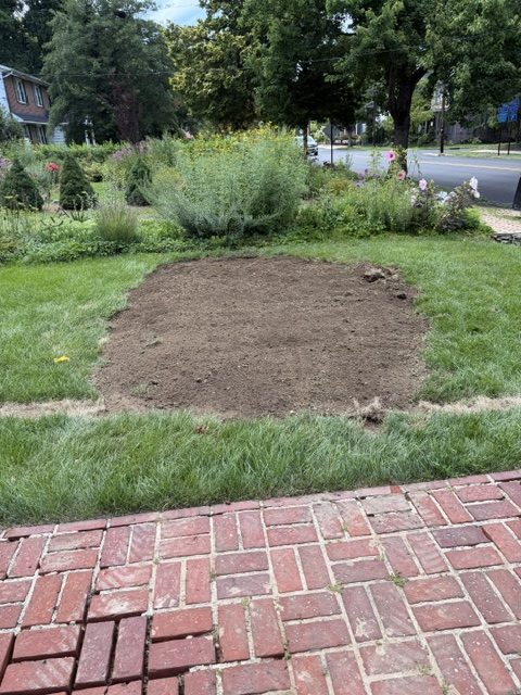 moorestown stump remove