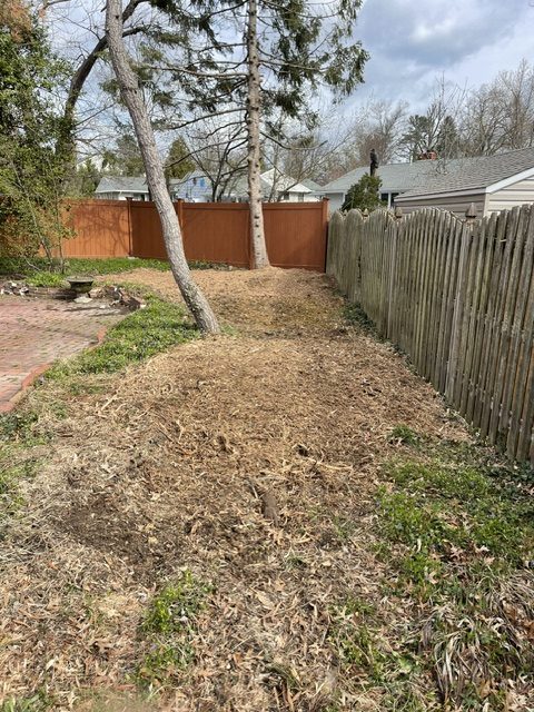 stump removed moorestown
