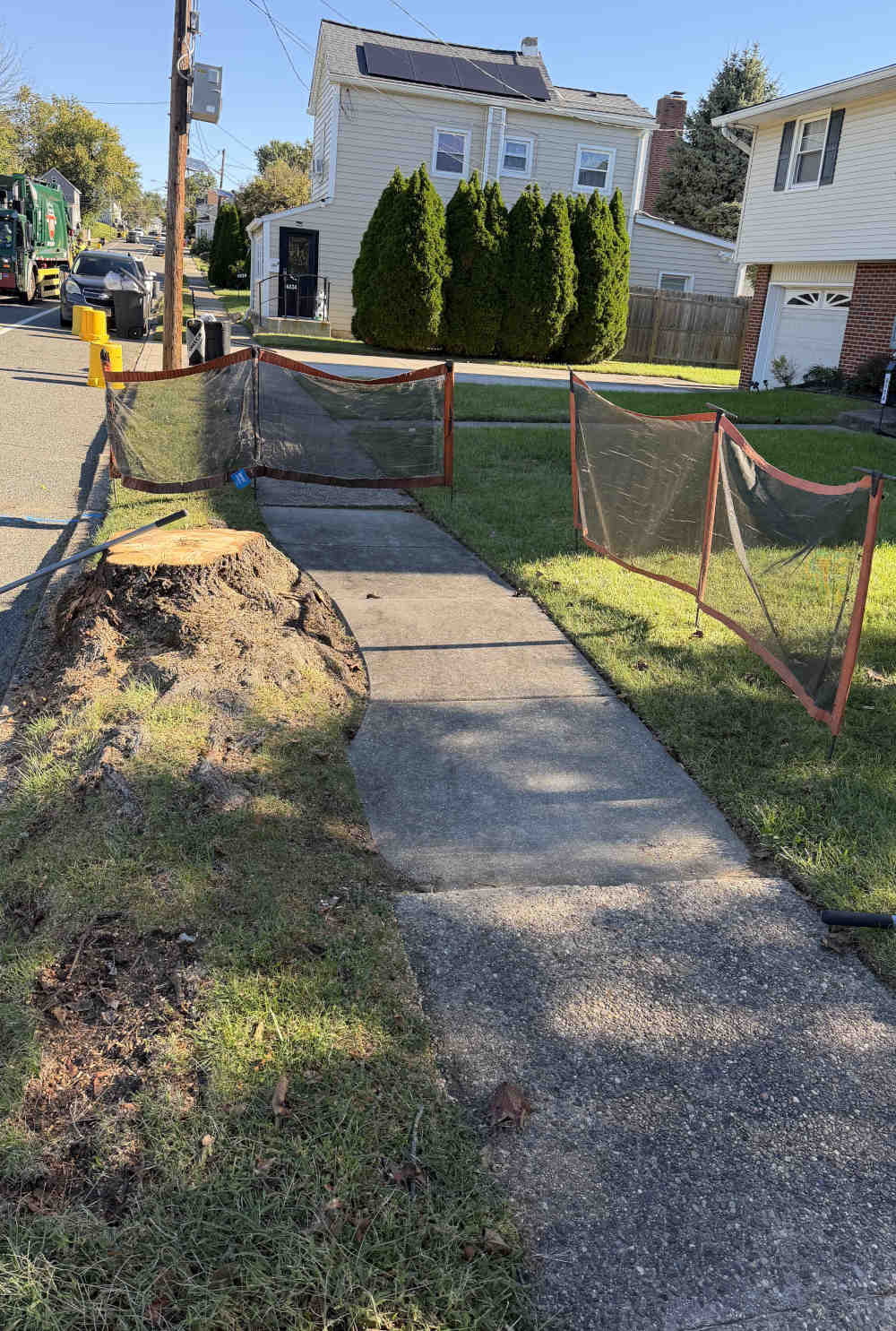 Big Pennsauken Tree Stump