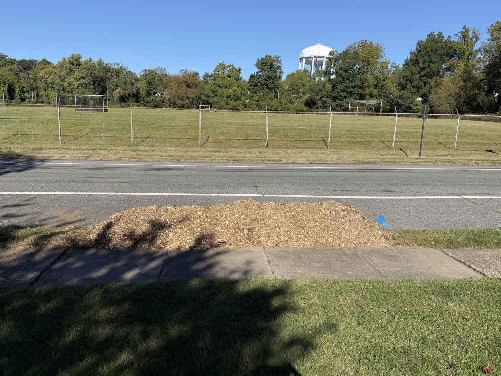 Tree Stump Grinded Gone
